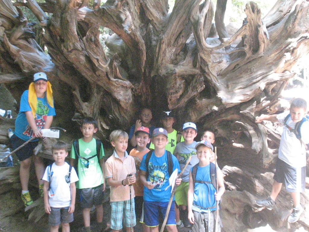 Pack 509 Hikes Big Basin